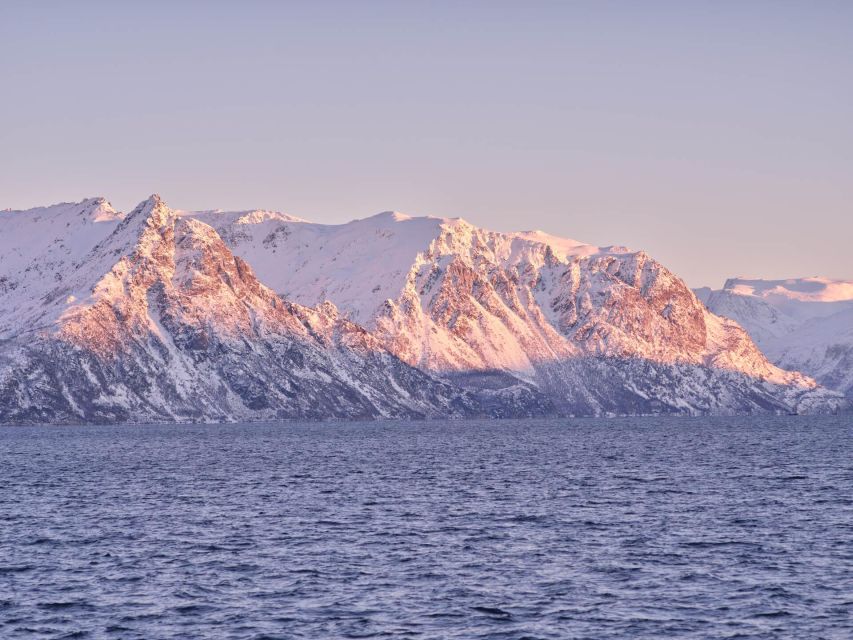 Tromsø: Arctic Fjord Cruise in Polar Landscapes - Photography tips that are actually useful