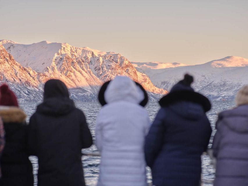 Tromsø: Arctic Fjord Cruise in Polar Landscapes - Weather, ice, and the route’s built-in flexibility