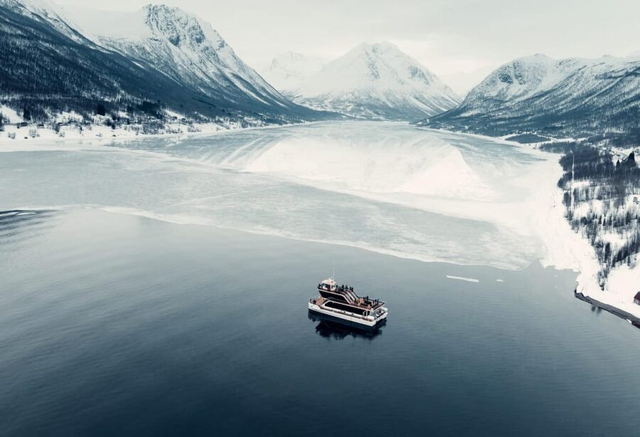 Tromsø: Arctic Fjord Cruise With Stop On Land At Fish Racks - Key points to know before you book