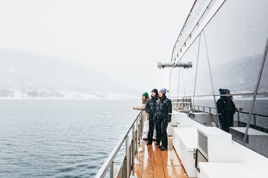 Tromsø: Arctic Fjord Cruise With Stop On Land At Fish Racks - Marine life from the deck and below the water