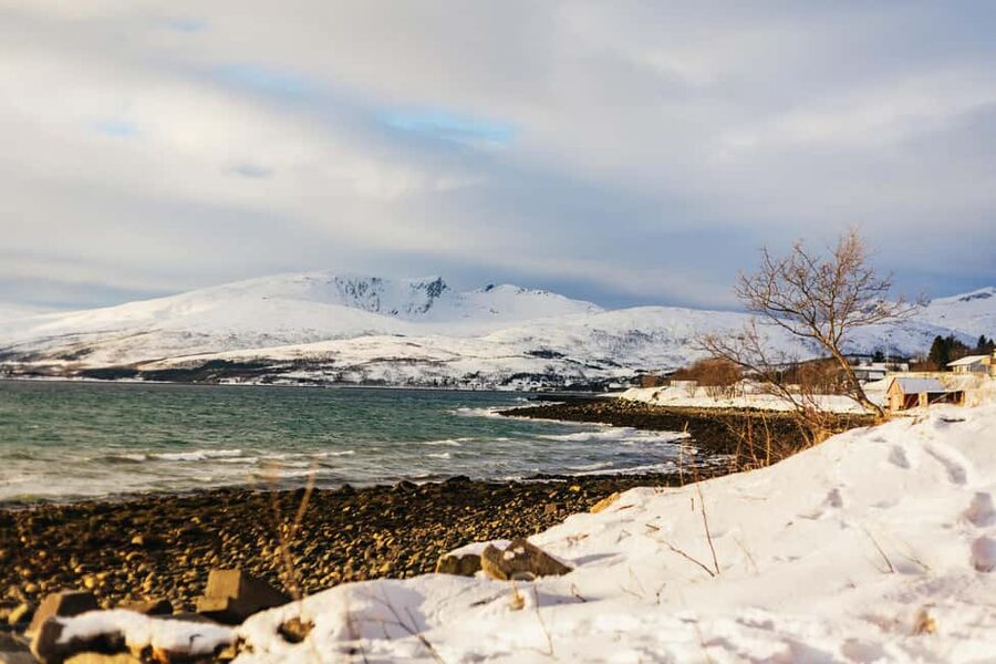 Tromsø: Arctic Landscape and Fjord Tour with Snacks - Wildlife sightings: possible, never promised