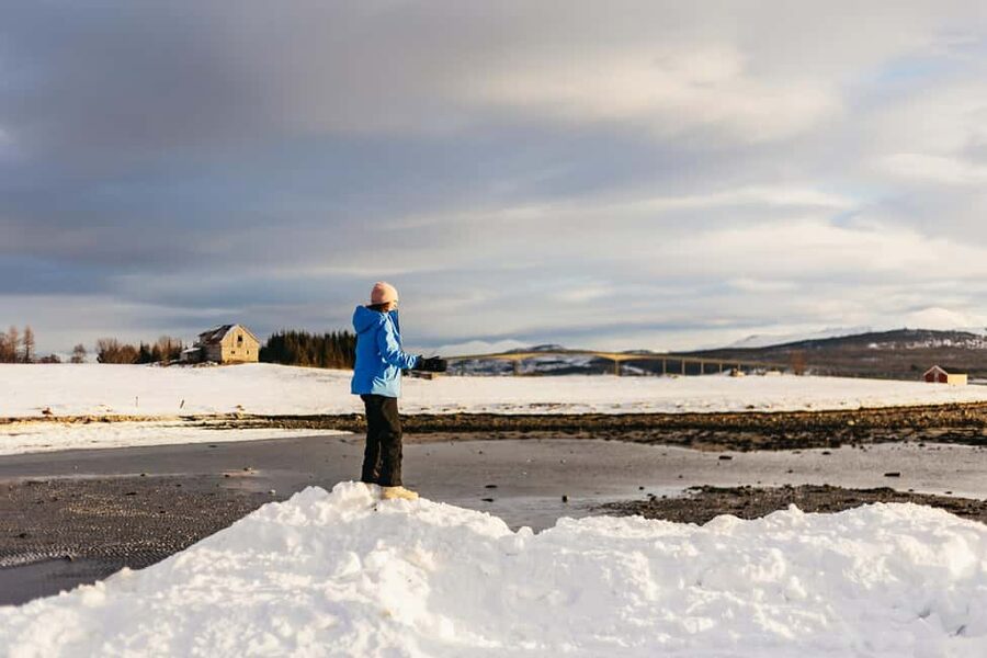 Tromsø: Arctic Landscape and Fjord Tour with Snacks - Is $132 a fair price?