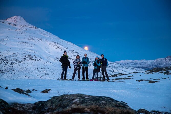 Tromsø: Arctic Landscapes Hiking / Snowshoeing Tour in the wild - Nico as guide, driver, and photographer