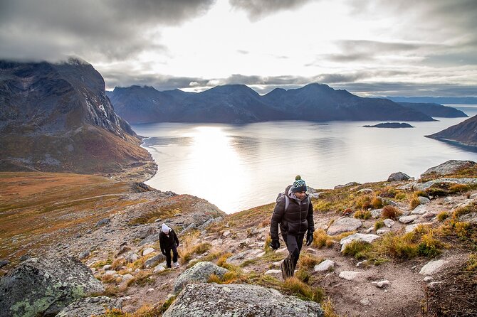 Tromsø: Arctic Landscapes Hiking / Snowshoeing Tour in the wild - Who should book this Tromsø snowshoe tour