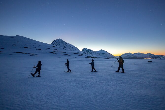Tromsø: Arctic Landscapes Hiking / Snowshoeing Tour in the wild - Soup at the top makes the cold easier