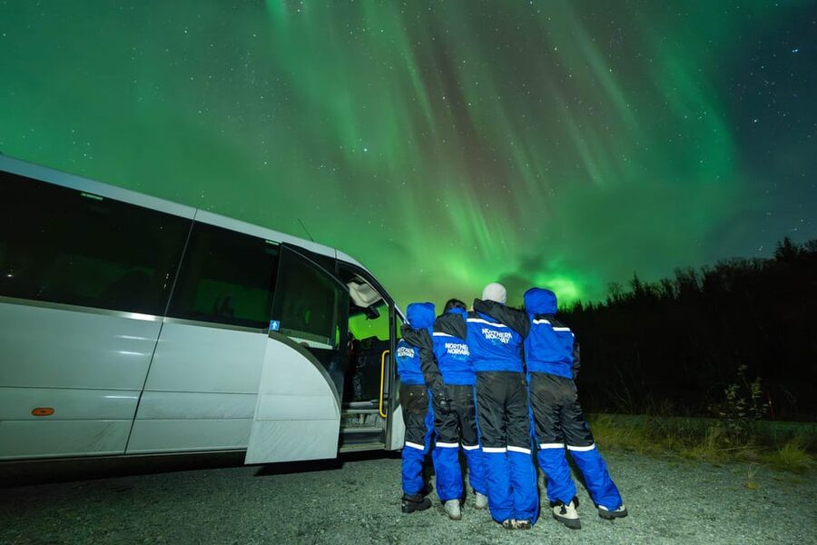 Tromsø: Aurora Borealis, Campfire, Hot Meal, Arctic Tour - Inside the Mercedes Sprinter