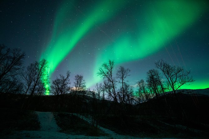 Tromso Aurora Chase by Minibus with Thermal Suit, Snack and Photo - Fires, marshmallows, and waiting outdoors