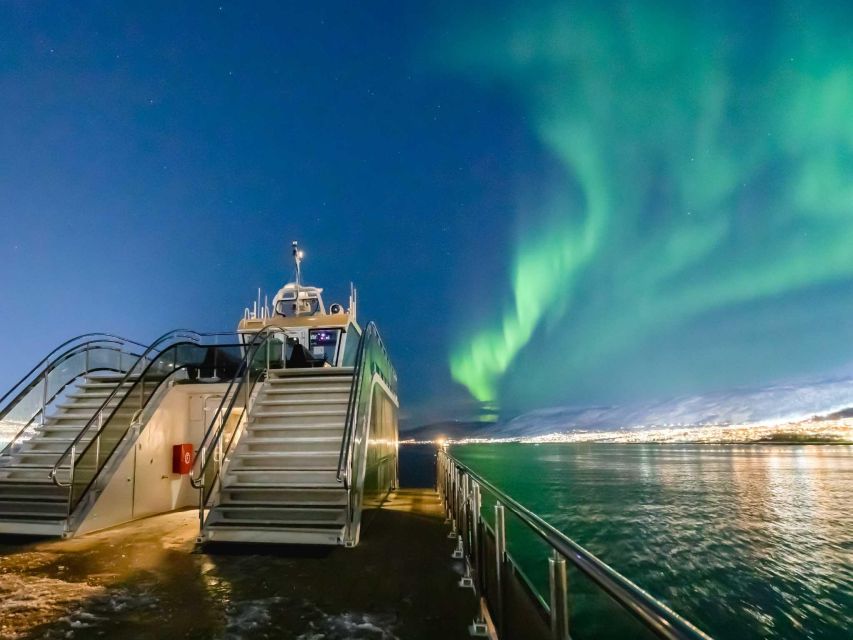 Tromsø: Aurora Dinner Cruise by Hybrid-Electric Catamaran - A Tromsø dinner with the sky as your ceiling