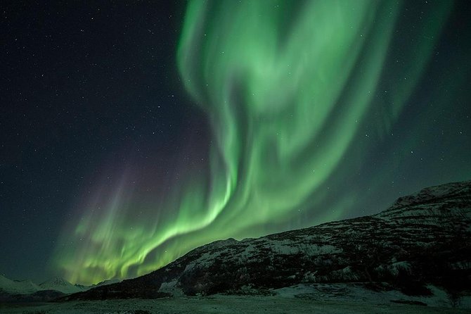 Tromso Aurora Hunt with Bonfire, Soup, Winter Gear & Transfers - The bonfire, soup, and long Arctic wait