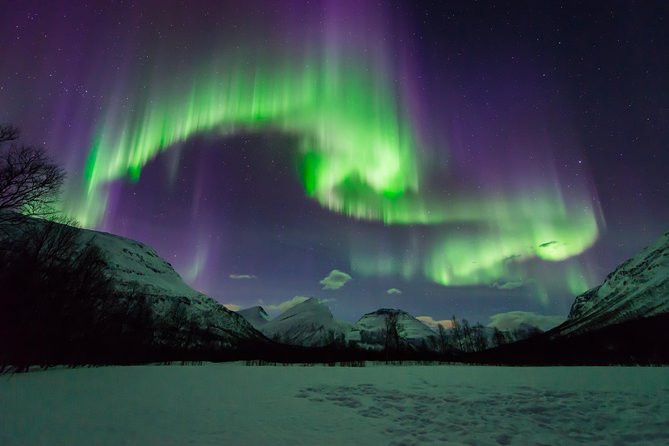 Tromso Aurora Hunt with Bonfire, Soup, Winter Gear & Transfers - Learning the science and taking better photos