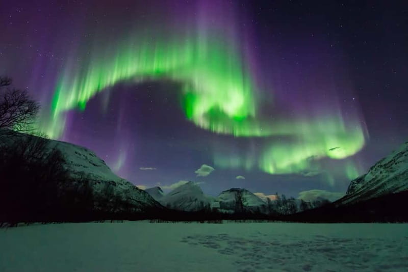 Tromsø: Aurora Hunt with Citizen Science - Thermal suits, boots, and the Arctic wait