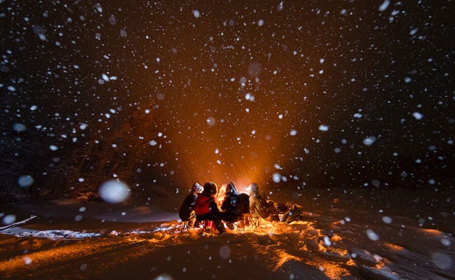 Tromsø: Aurora Hunt with Citizen Science - What $250 buys you