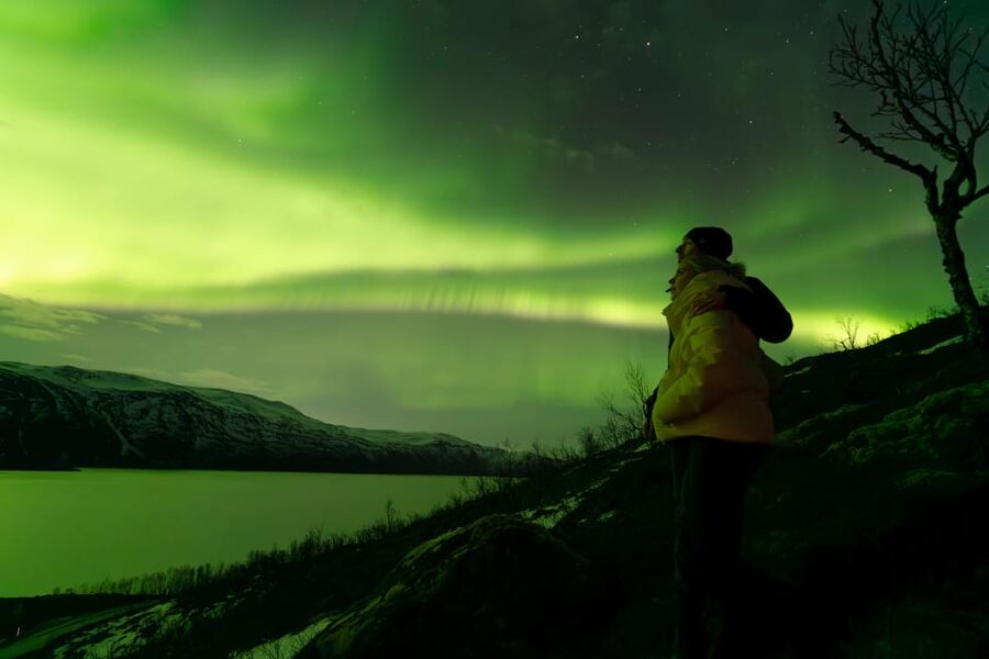 Tromsø: Aurora Quest Minibus Adventure - Key points to know before booking