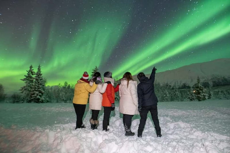 Tromsø: Aurora Safari Chase by big bus with Camp meal - Key points at a glance