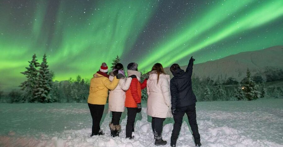 Tromsø: Aurora Safari Chase by big bus with Camp meal - Taking photos without carrying a full kit