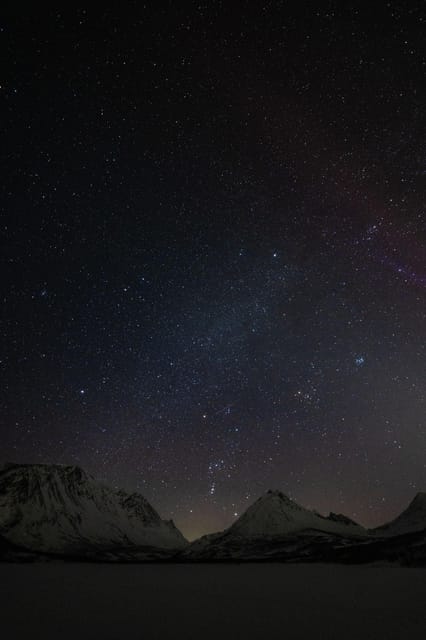 Tromsø: Aurora Tour with Photos, Campfire and Arctic Food - Who will enjoy this Tromsø Aurora tour?