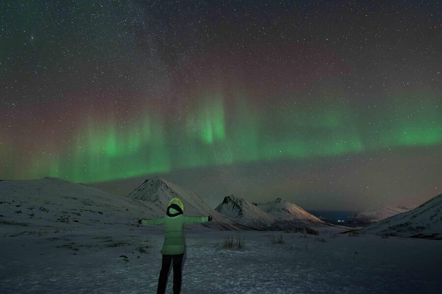 Tromsø: Aurora Tour with Photos, Campfire and Arctic Food - Campfire food, chai, and the practical warmth of the stop