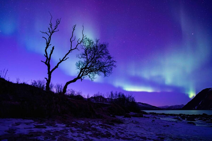 Tromsø: Aurora Tour with Photos, Campfire and Arctic Food - Alba’s photography help and the included image