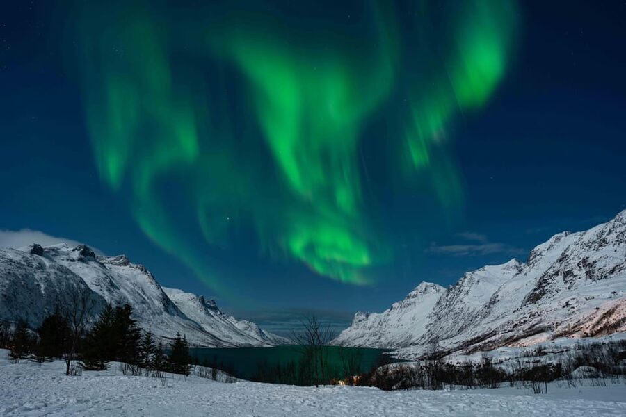 Tromsø: Aurora Tour with Photos, Campfire and Arctic Food - Is $304 a fair price?