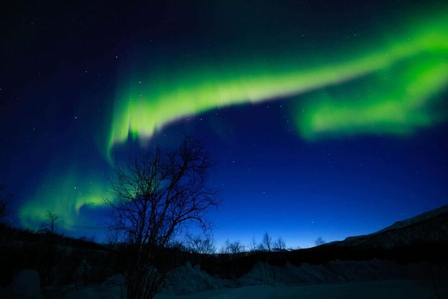 Tromsø Chinese Aurora Tour - Bonfire food, hot chocolate, and cup noodles