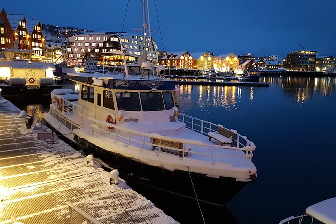 Tromsø City Walk - Why a Tromsø walking tour makes sense