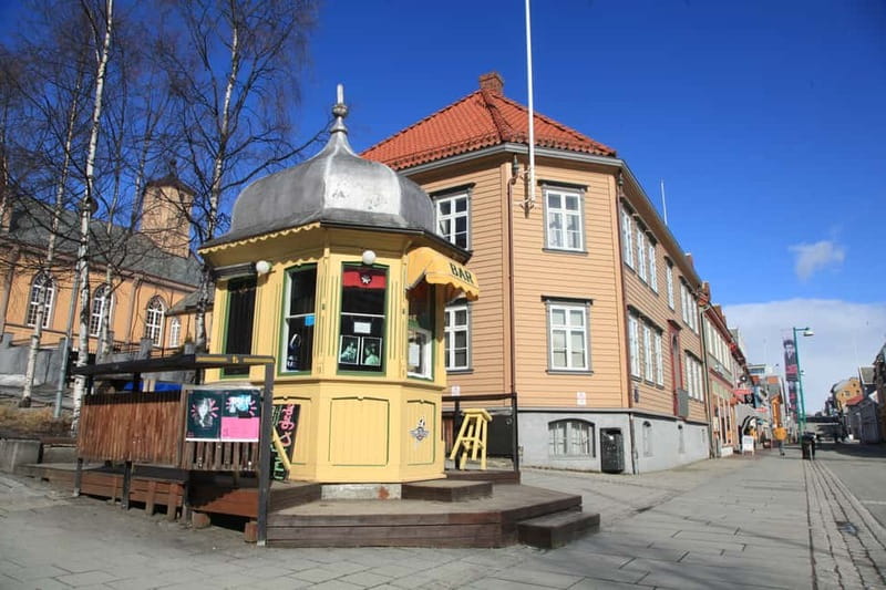 Tromsø: City Walk & Polar Museum (Private or Shared) - Key points at a glance