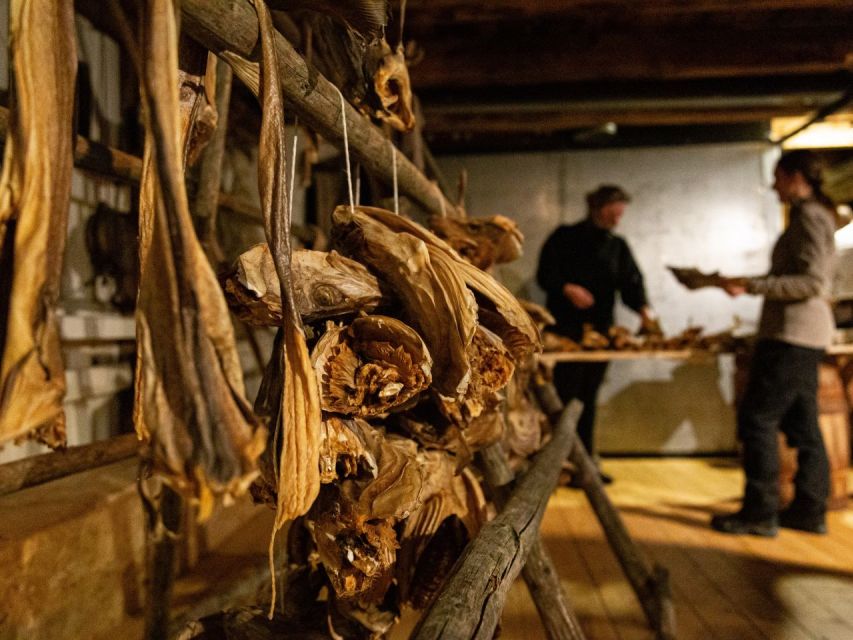 Tromso: Cod-Tasting Tour with Full Steam Museum Entry - Timing, Access, and Practical Planning