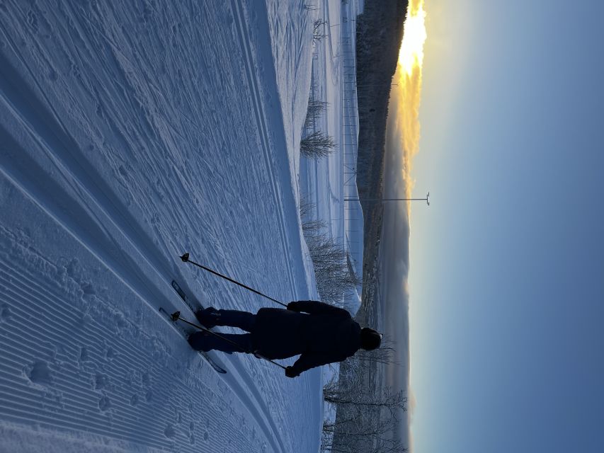 Tromsø: Cross Country Guided Skiing Course - Key points to know before you book