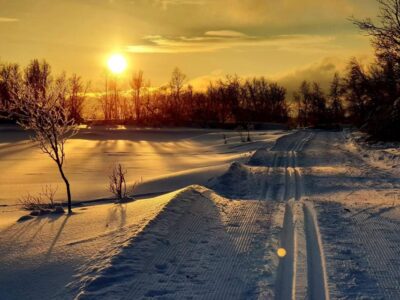 Cross Country Guided Skiing Course