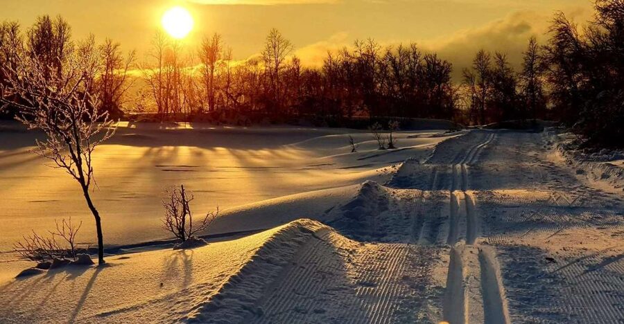 Tromsø: Cross Country Guided Skiing Course - The final hour combines skiing, views, and a little more effort