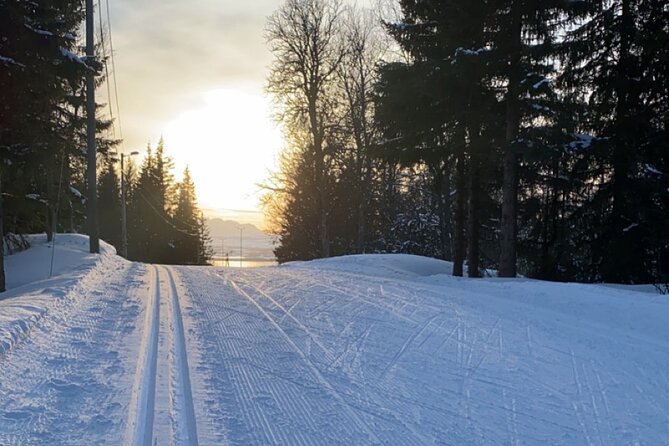 Tromsø Cross-Country Ski Adventure - Key Points Before You Book