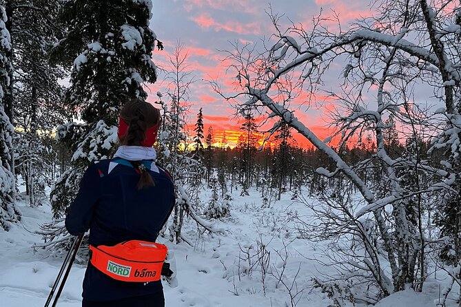 Tromsø Cross-Country Ski Adventure - Skiing the Forest Trails