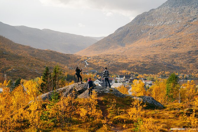 Tromsø: Day trip to the island of Sommarøy through the Fjords - Why Kvaløya makes this trip worthwhile