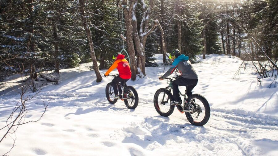 Tromsø: Electric fatbike trip on winter paths - A hot drink and lefse from Tove’s Tradisjonsmat