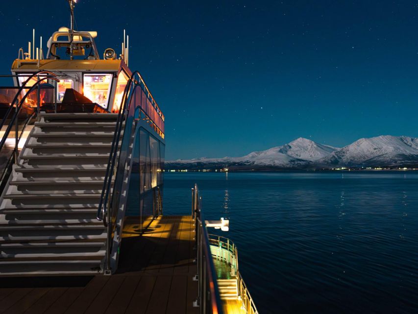 Tromsø: Electric Northern Lights Cruise - What the guides add beyond the lights