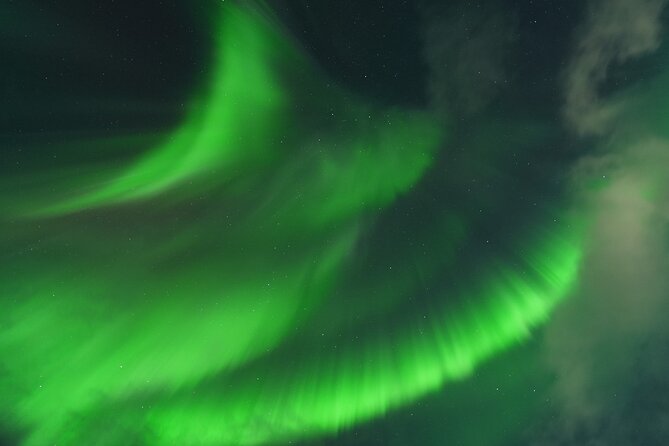 Tromsø: English/Spanish Aurora Pathfinder Tour with Photos - From Fredrik Langes gate at 6 pm