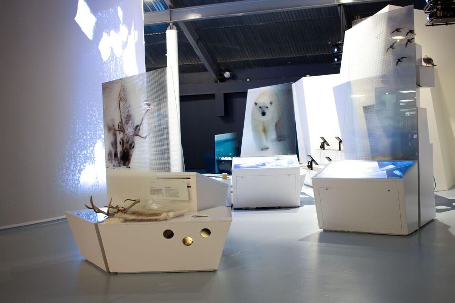 Tromsø: Entrance Ticket to Polaria - Who will enjoy Polaria most?