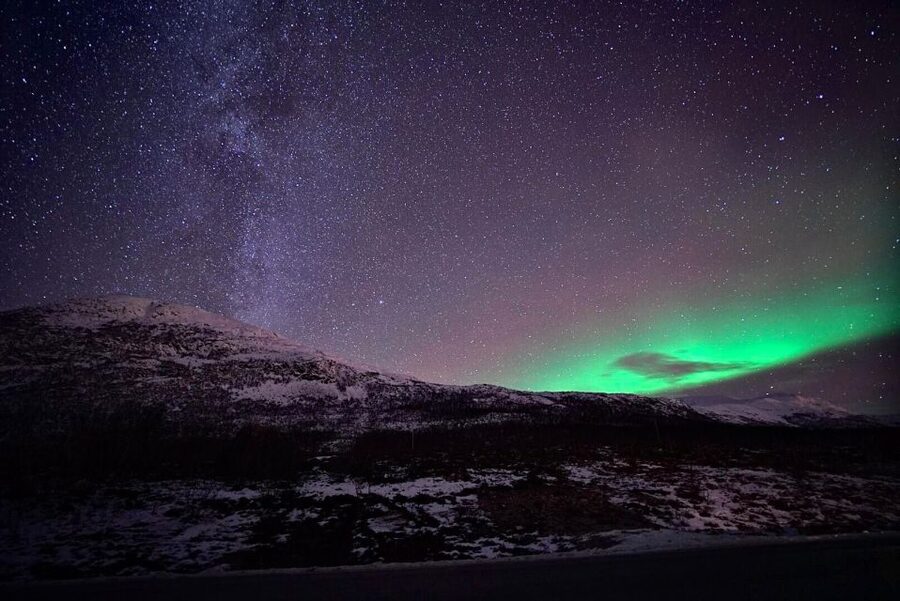 Tromsø: Evening Aurora Cruise (dinner optional) - Key Points