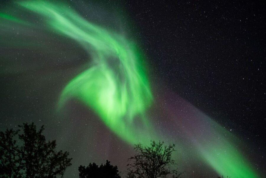 Tromsø: Evening Aurora Cruise (dinner optional) - A Boat Built for Waiting