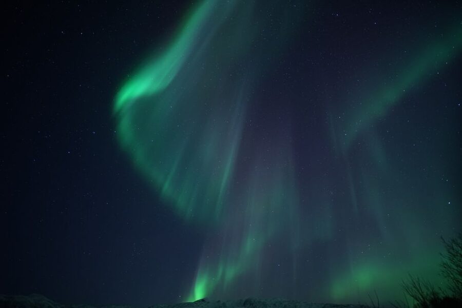 Tromsø: Evening Aurora Cruise (dinner optional) - What the Middle of the Trip Feels Like