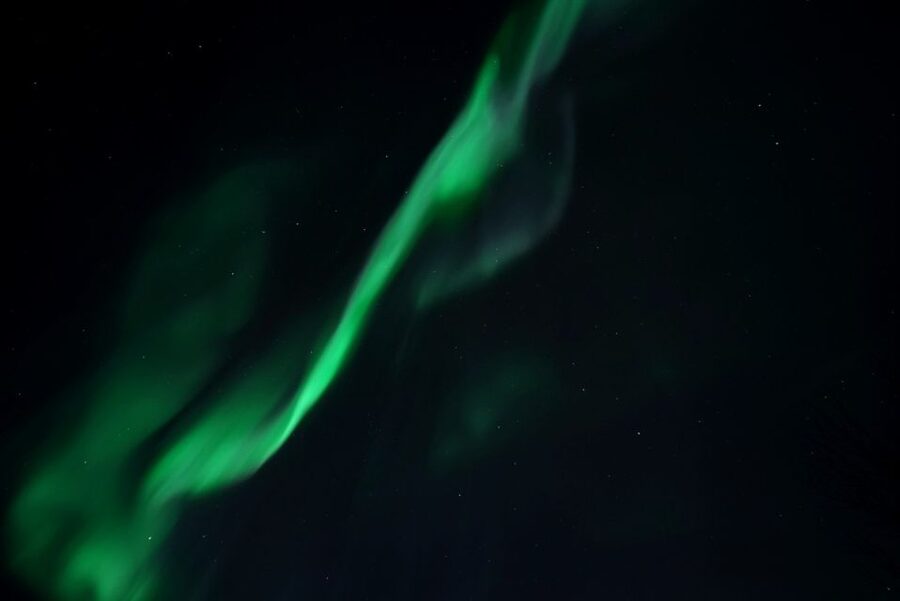 Tromsø: Evening Aurora Cruise (dinner optional) - Searching for the Green Lady