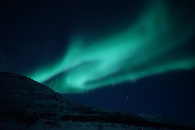 Tromsø: Evening Cruise with Northern Lights Opportunity - Key points to know before booking