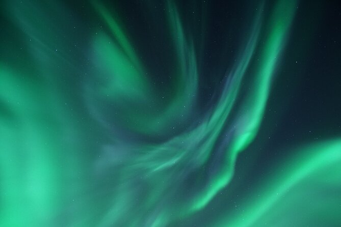 Tromsø: Evening Cruise with Northern Lights Opportunity - Who will enjoy this Tromsø evening?