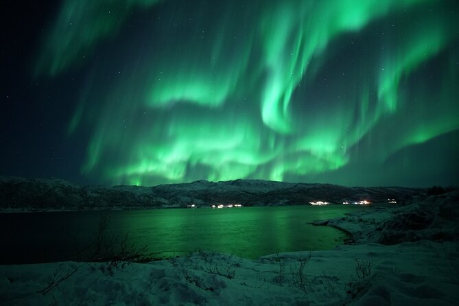 Tromsø: Evening Cruise with Northern Lights Opportunity - Finding the Northern Lights from the deck