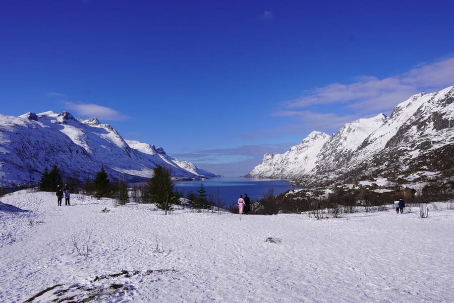 Tromsø: Exclusive Fjord Adventure by Bus - Local stories make the drive worthwhile