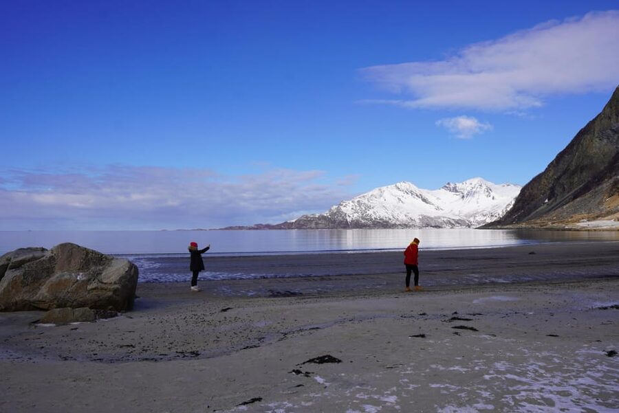 Tromsø: Exclusive Fjord Adventure by Bus - Wildlife is possible, not promised