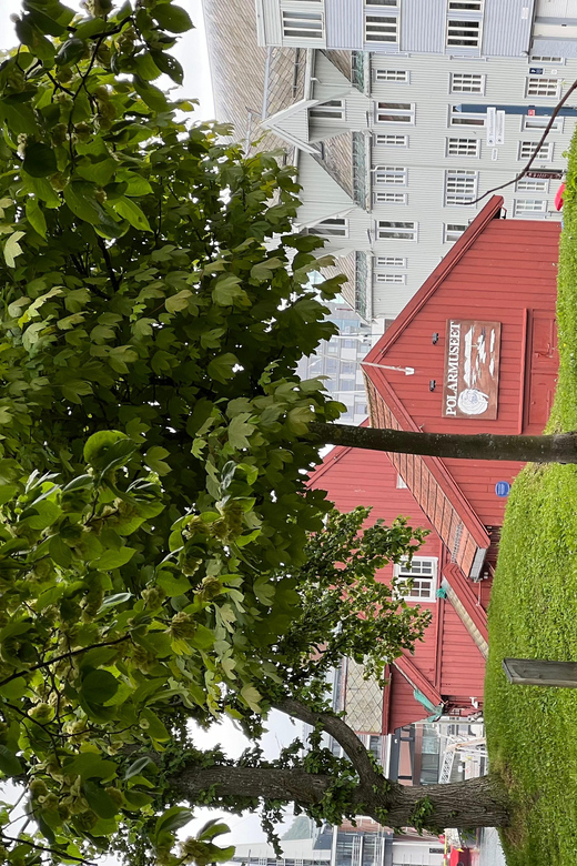 TROMSØ: Explore The City And a Guided Tour Of PolarMuseum! - What the guide adds to the experience