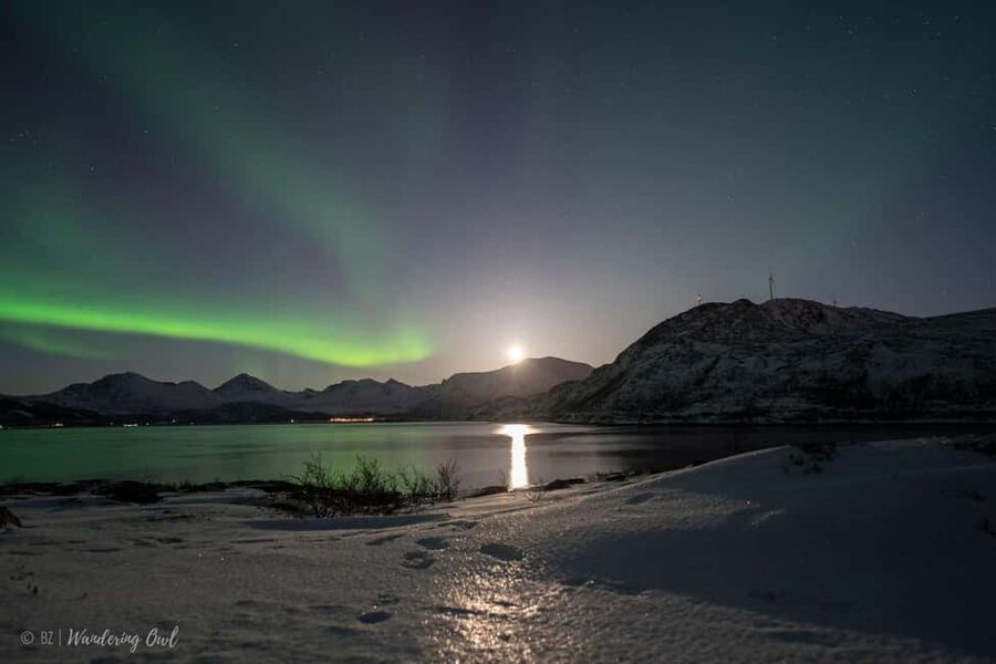 Tromsø: Express Aurora Hunt - Why the midnight promise matters in Tromsø