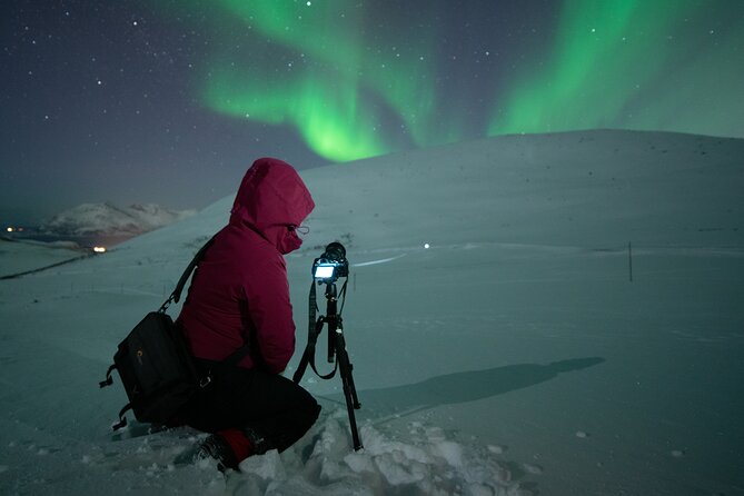 Tromsø: Express Aurora Hunt with Wandering Owl - The guide can make or break the evening