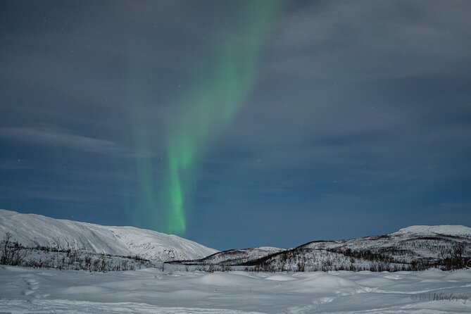 Tromsø: Express Aurora Hunt with Wandering Owl - The short schedule versus a full aurora chase